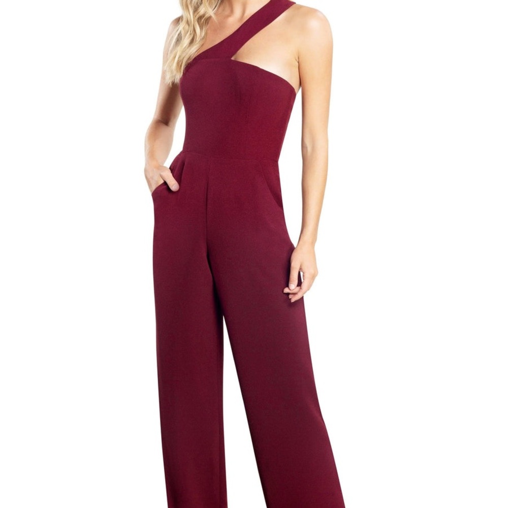 Filippa Burgundy One-Shoulder Jumpsuit by Dress the Population NWOT